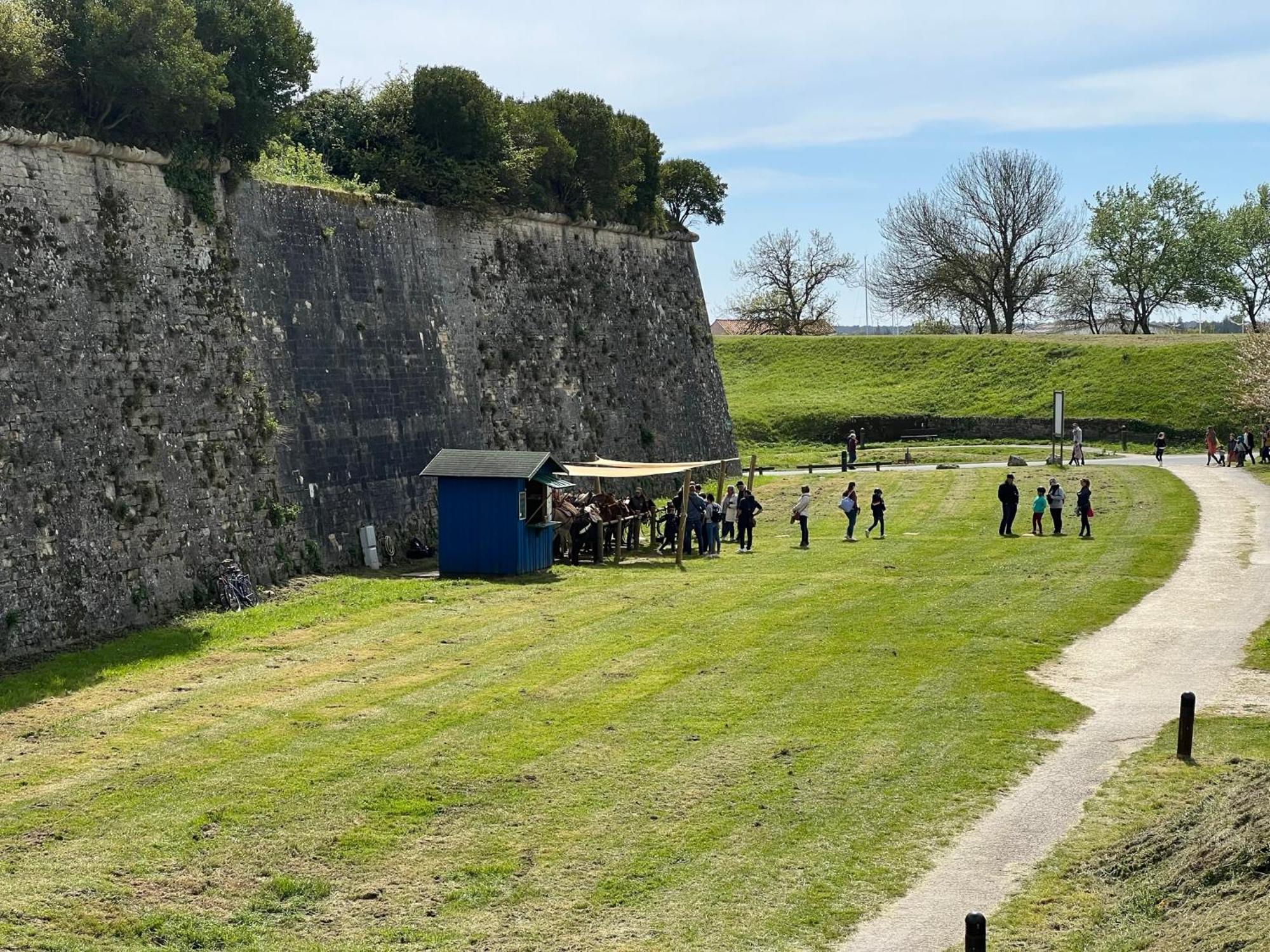 Les Amareyeurs - Ile D'Oleron - Maison Classee 3 Etoiles Avec Piscine - Clim - Velos Ле-Шато-д'Олерон Экстерьер фото