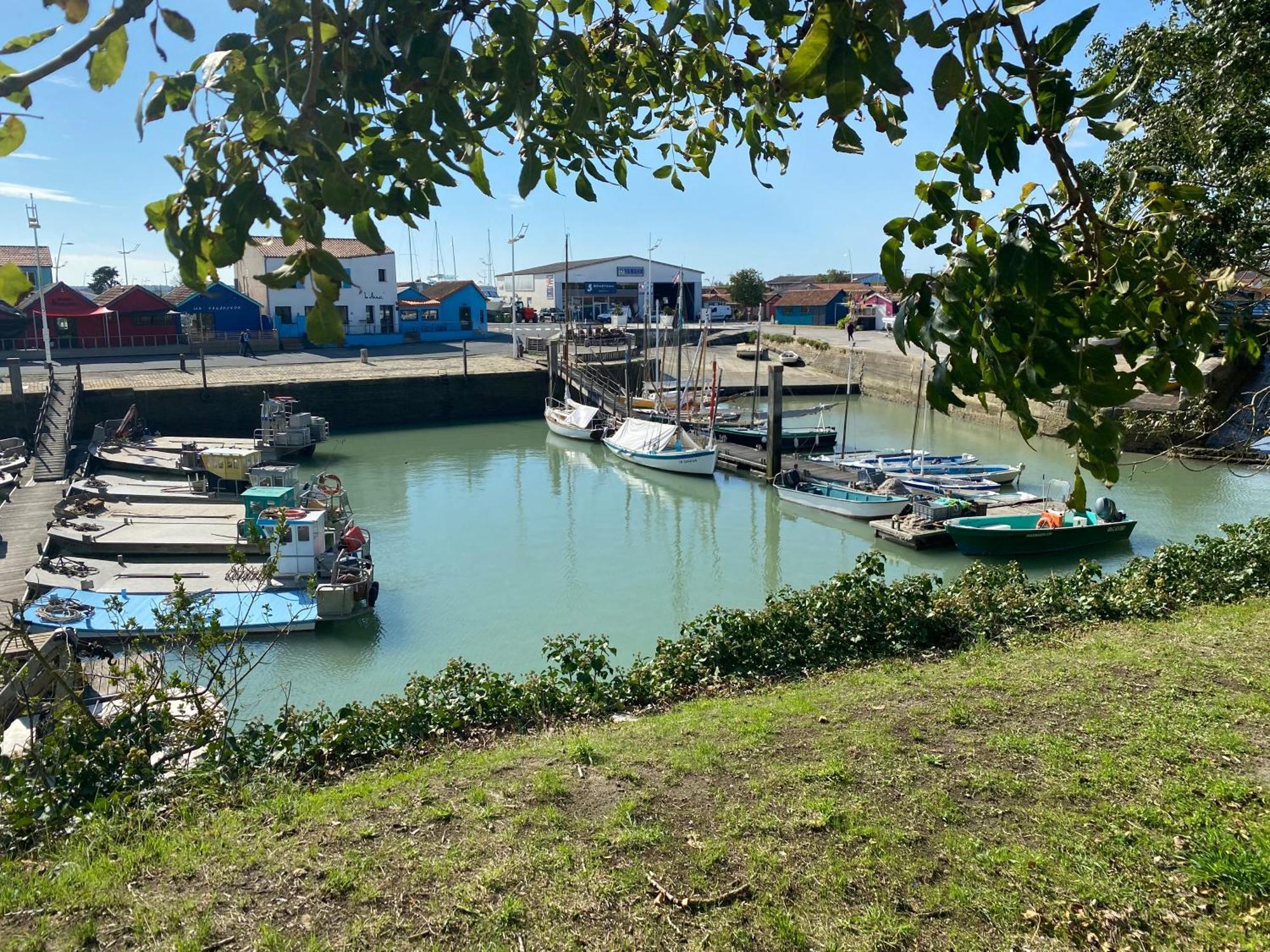 Les Amareyeurs - Ile D'Oleron - Maison Classee 3 Etoiles Avec Piscine - Clim - Velos Ле-Шато-д'Олерон Экстерьер фото